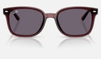 Ray-Ban RB4461D 659373 - vista frontal