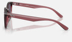 Ray-Ban RB4461D 659373 - vista lateral