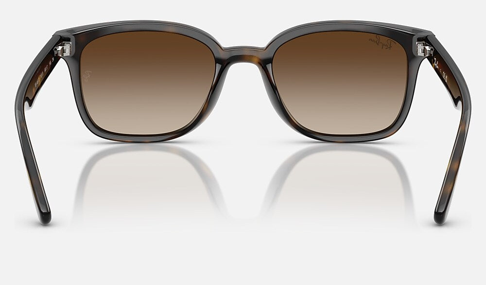 Ray-Ban RB4461D 710/13 - vista posterior