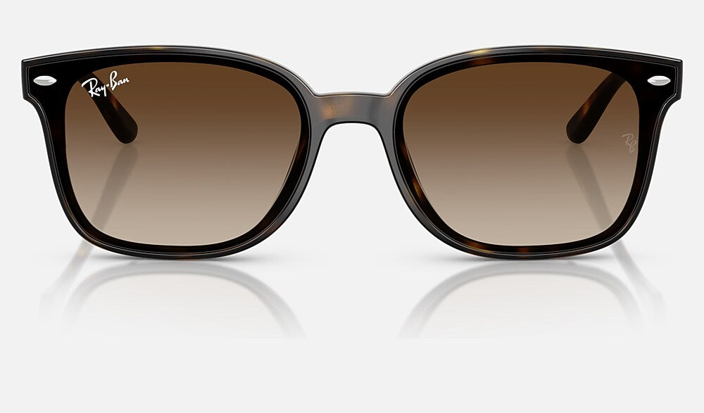 Ray-Ban RB4461D 710/13 - vista frontal