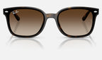 Ray-Ban RB4461D 710/13 - vista frontal