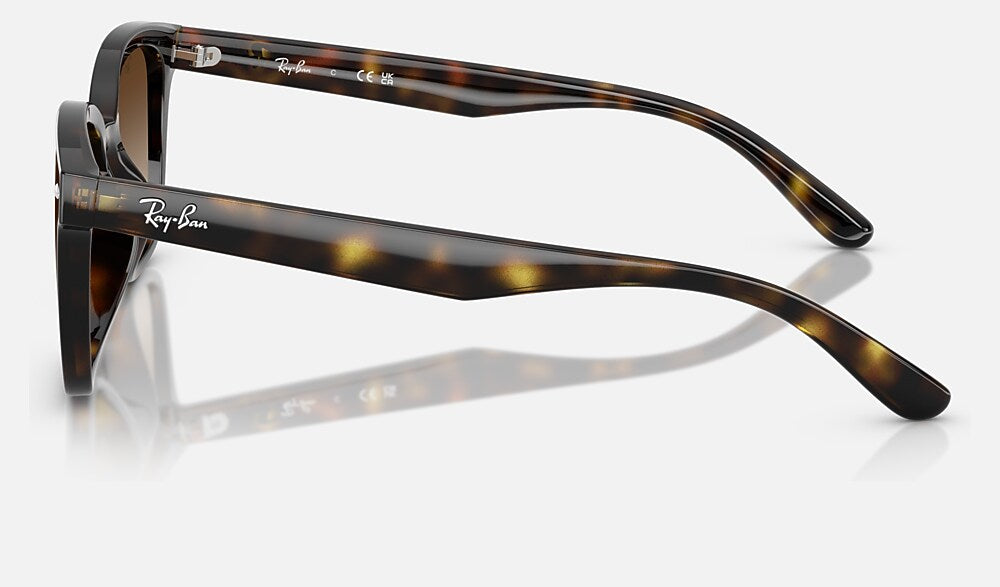 Ray-Ban RB4461D 710/13 - vista lateral