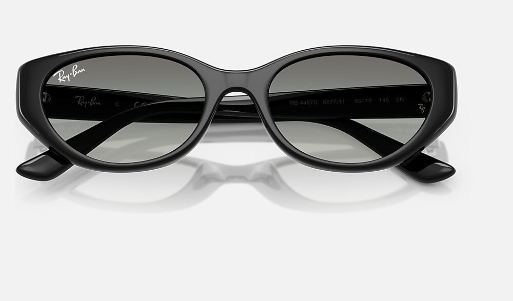 Ray-Ban RB4457D 667711 - detalle