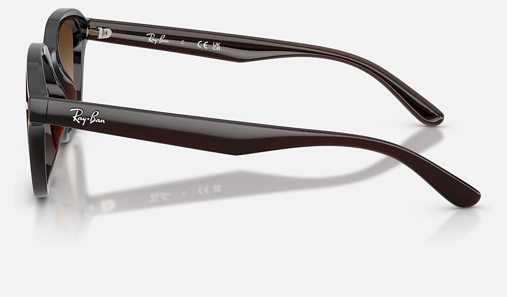 Ray-Ban RB4458D 714/13 - vista lateral