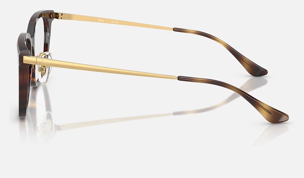 Ray-Ban 0RX5442D 2012 - vista lateral