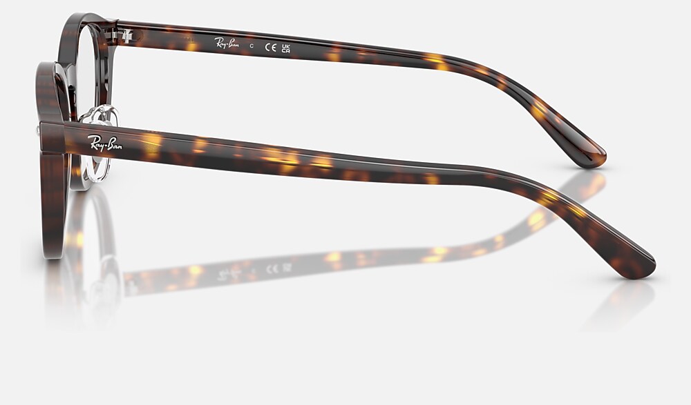 Ray-Ban 0RX5443D 2012 - vista lateral