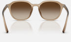 Ray-Ban RB4459D 616613 - vista posterior