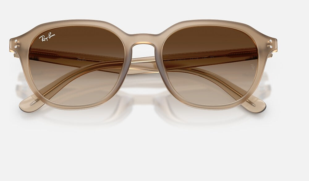 Ray-Ban RB4459D 616613 - detalle
