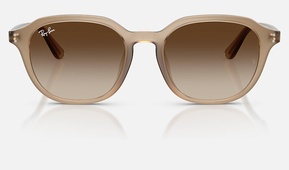 Ray-Ban RB4459D 616613 - vista frontal