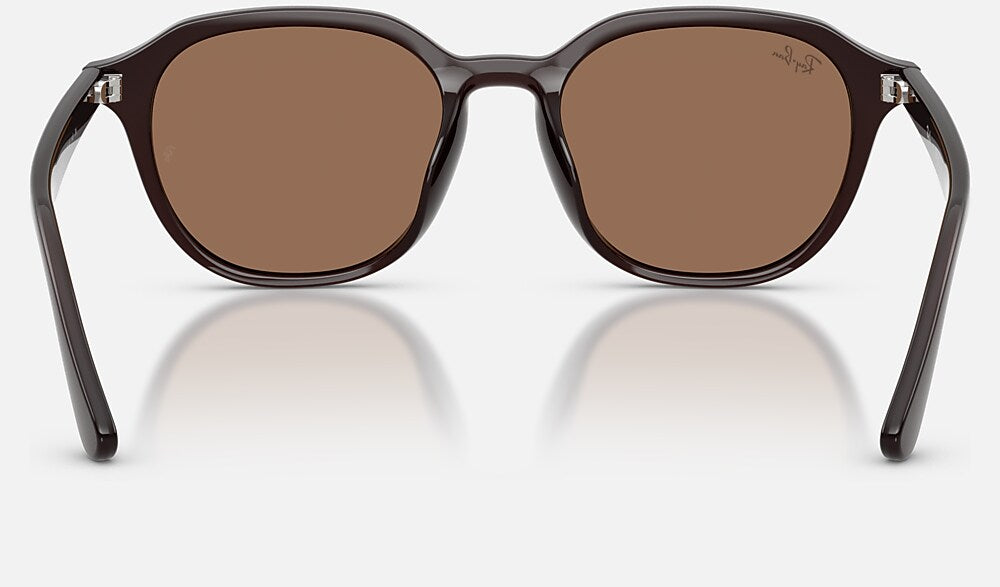 Ray-Ban RB4459D 623173 - vista posterior