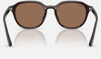 Ray-Ban RB4459D 623173 - vista posterior