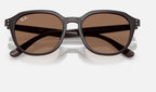 Ray-Ban RB4459D 623173 - detalle