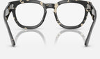 Ray-Ban 0RX0298V 8117 - vista posterior