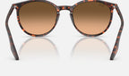 Ray-Ban RB2204 14293B - vista posterior