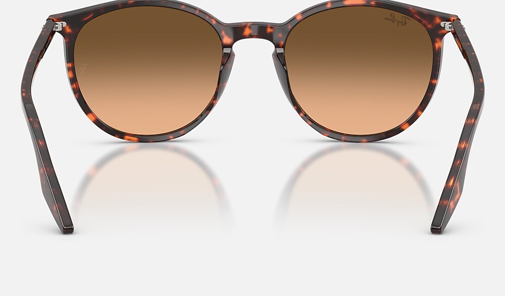 Ray-Ban RB2204 14293B - vista posterior