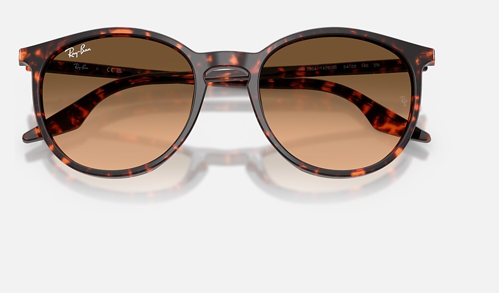 Ray-Ban RB2204 14293B - detalle
