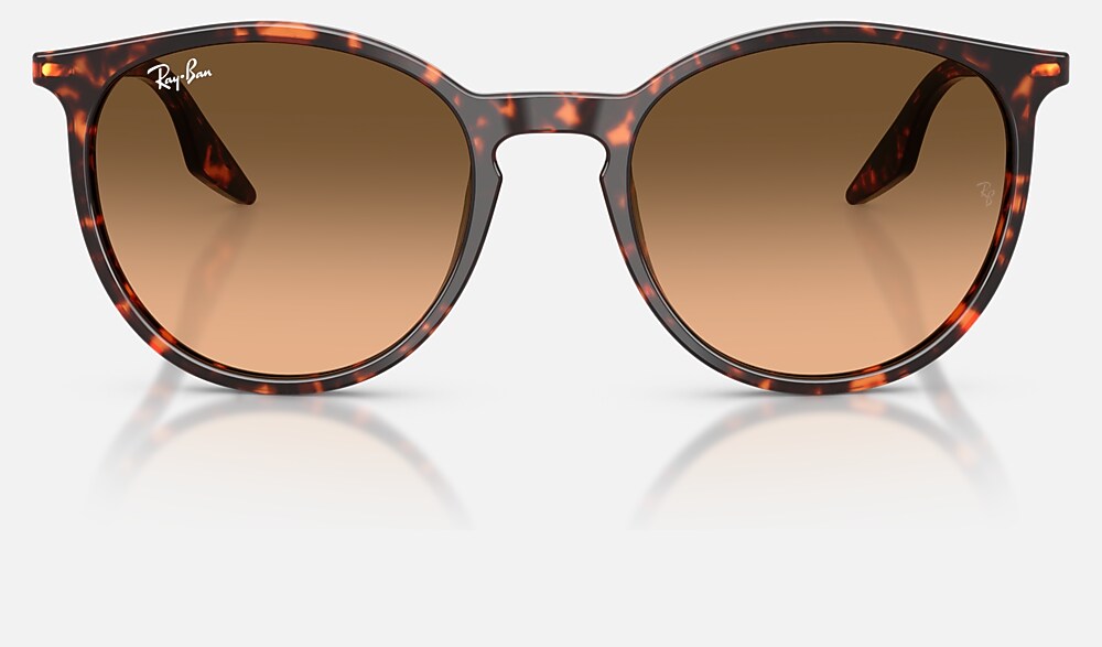 Ray-Ban RB2204 14293B - vista frontal