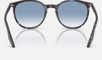 Ray-Ban RB2204 14303F - vista posterior