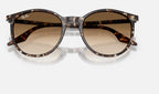 Ray-Ban RB2204 143151 - detalle