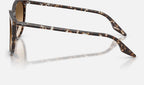 Ray-Ban RB2204 143151 - vista lateral
