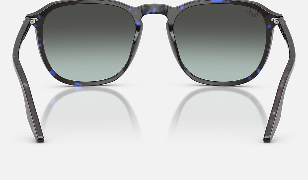 Ray-Ban RB2203 1430GK - vista posterior