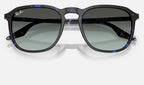 Ray-Ban RB2203 1430GK - detalle