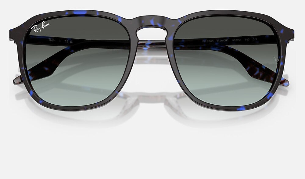 Ray-Ban RB2203 1430GK - detalle