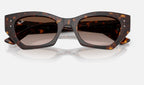 Ray-Ban RB4430 135913 - detalle