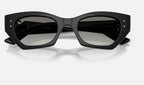 Ray-Ban RB4430 667711 - detalle