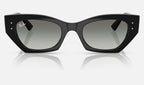 Ray-Ban RB4430 667711 - vista frontal