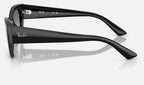 Ray-Ban RB4430 667711 - vista lateral