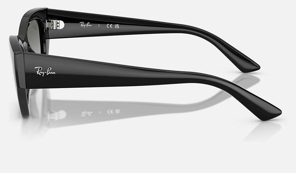 Ray-Ban RB4430 667711 - vista lateral