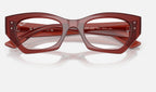 Ray-Ban 0RX7330 8436 - detalle