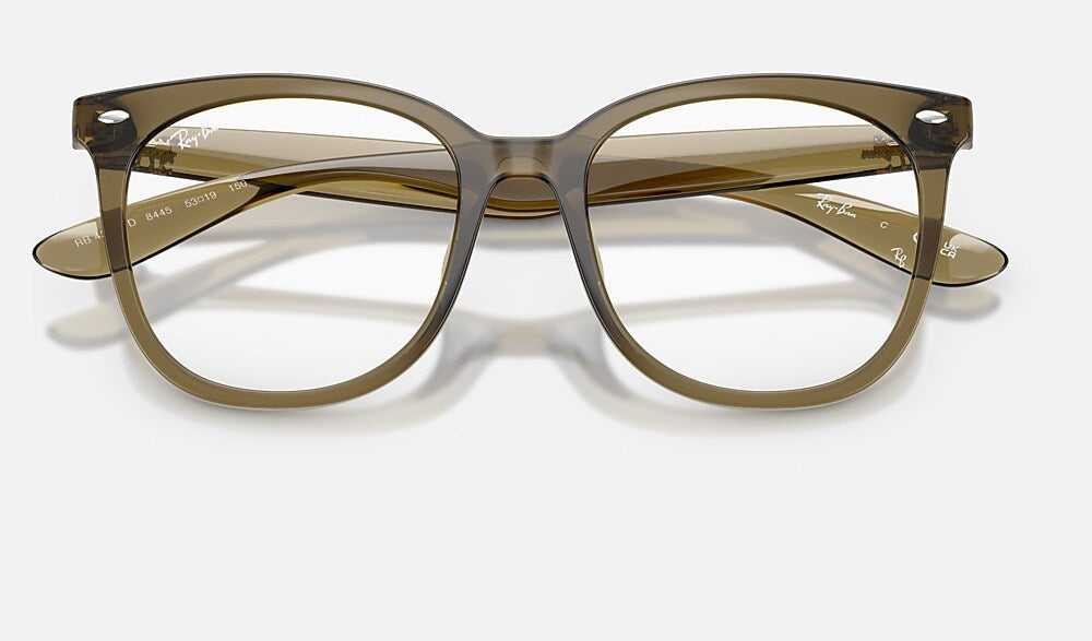 Ray-Ban 0RX4379VD 8445 - detalle
