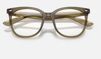 Ray-Ban 0RX4379VD 8445 - detalle