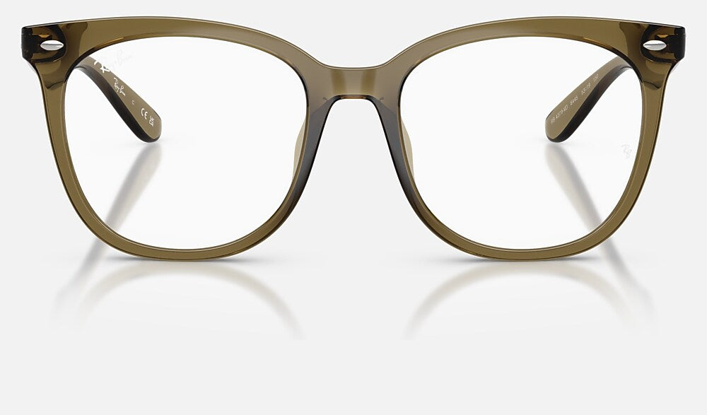 Ray-Ban 0RX4379VD 8445 - vista frontal