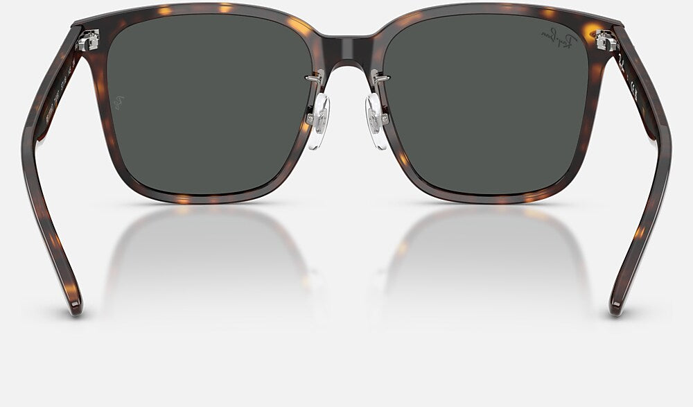 Ray-Ban RB2206D 710/87 - vista posterior