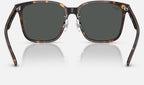 Ray-Ban RB2206D 710/87 - vista posterior