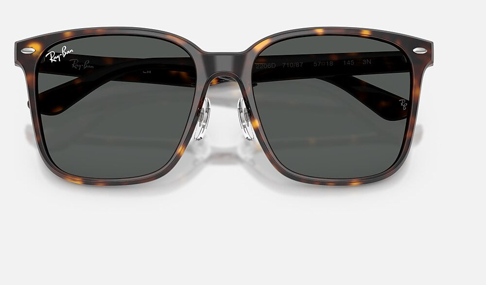 Ray-Ban RB2206D 710/87 - detalle