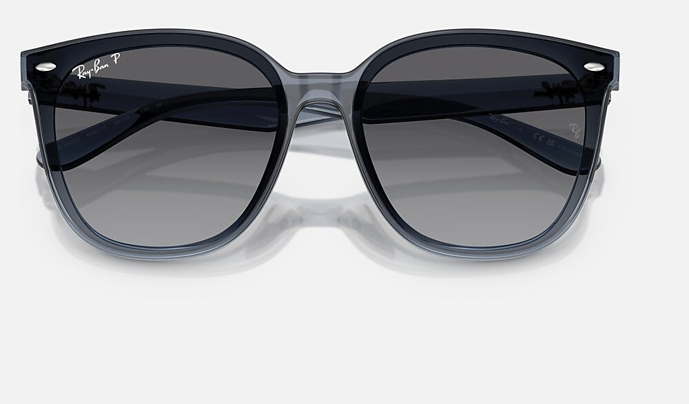 Ray-Ban RB4423D 6592T3 - detalle