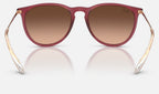 Ray-Ban RB4171 6815A5 - vista posterior
