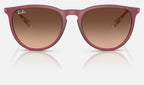 Ray-Ban RB4171 6815A5 - vista frontal