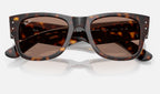 Ray-Ban RB0840S 902/1A - detalle