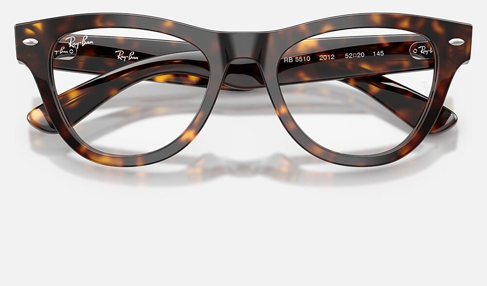 Ray-Ban 0RX5510 2012 - detalle
