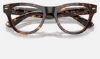 Ray-Ban 0RX5510 2012 - detalle