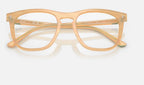 Ray-Ban 0RX2210V 8383 - detalle