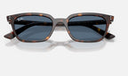 Ray-Ban RB4456 135980 - detalle