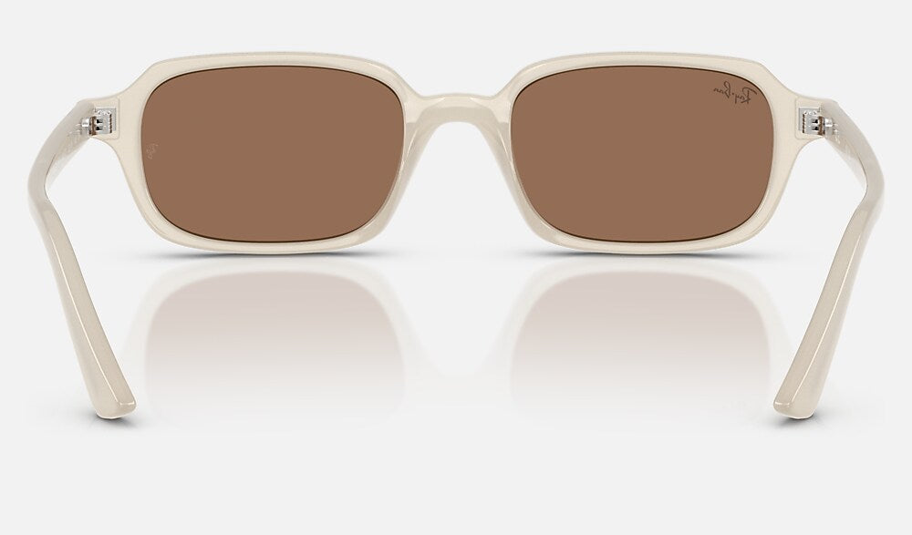 Ray-Ban RB4455 680873 - vista posterior