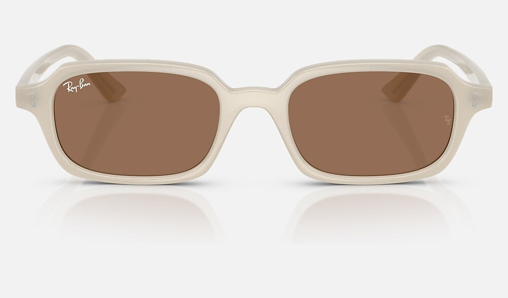 Ray-Ban RB4455 680873 - vista frontal