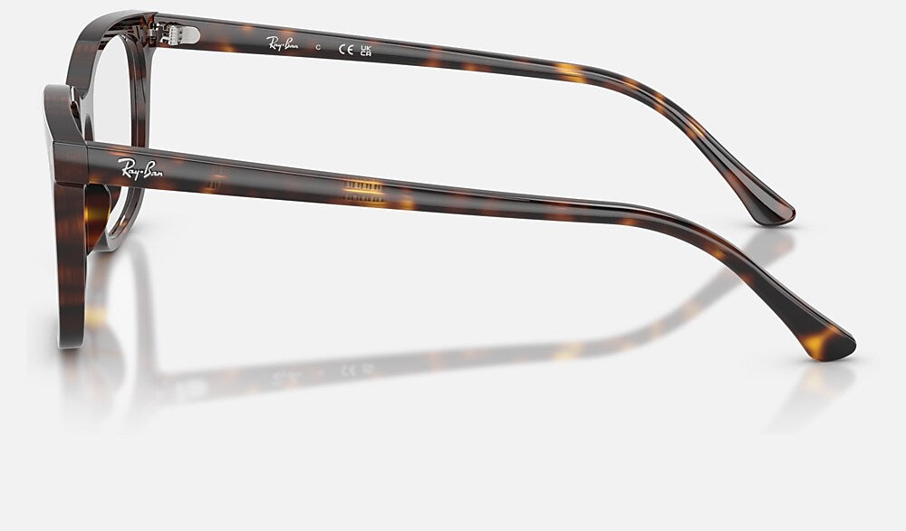 Ray-Ban 0RX5446 2012 - vista lateral